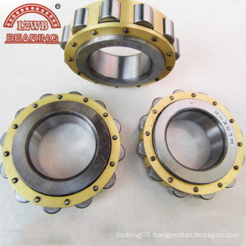 Good Quality Cylinderical Roller Bearing with Beautiful Package (NUP211)